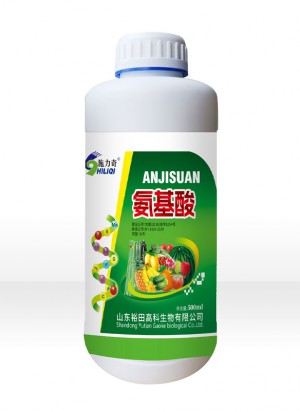 氨基酸