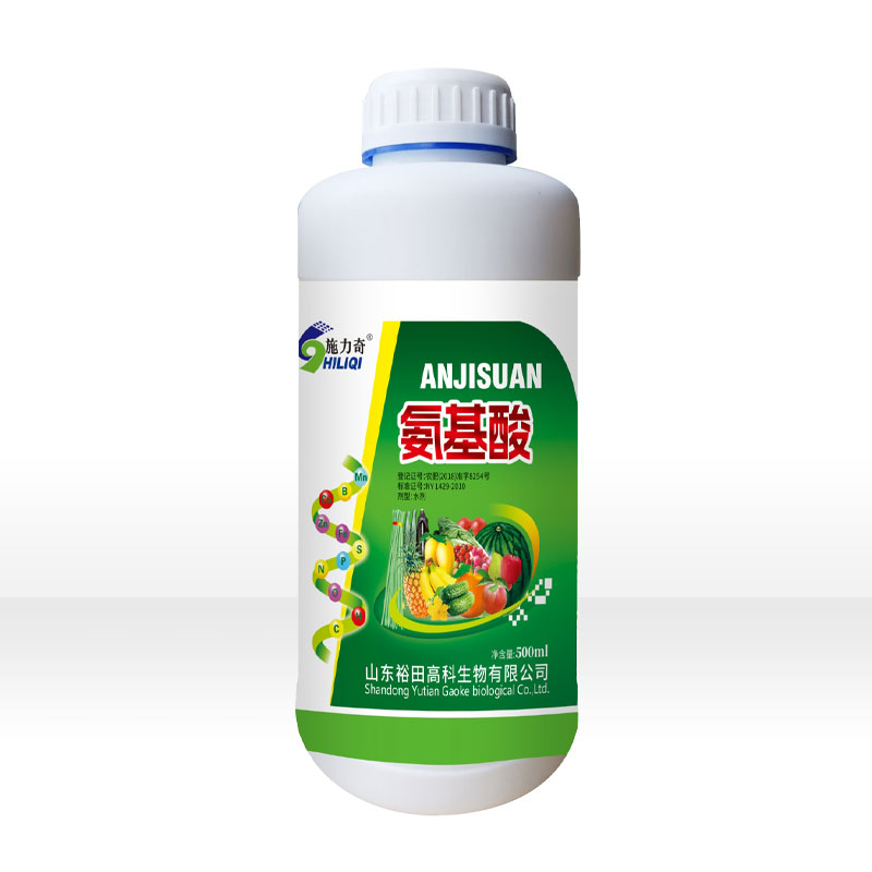 氨基酸