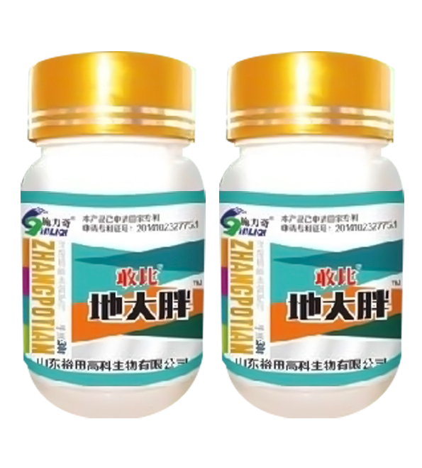 地大胖